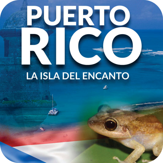 Porta Vasos (Casters)- PR Coqui