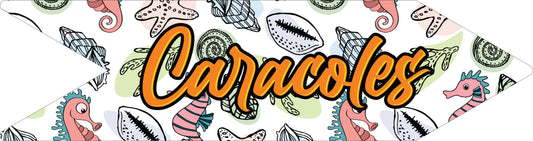 Flechas de Lugares (20"x 5.5")- Caracoles 1
