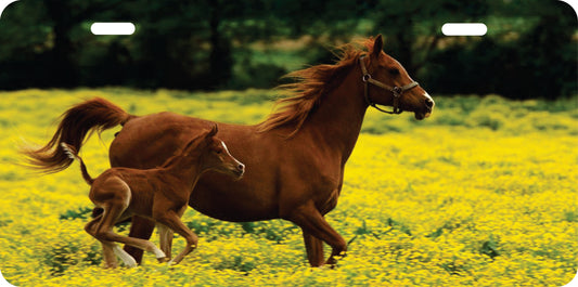 Tablilla de Caballos 1