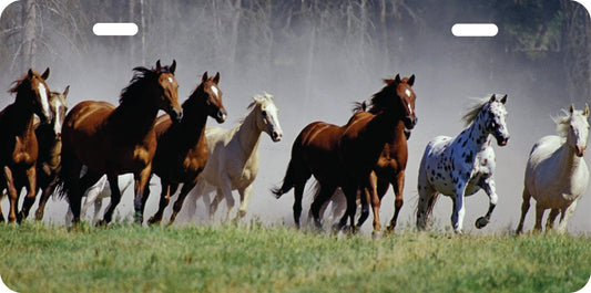 Tablilla de Caballos 3
